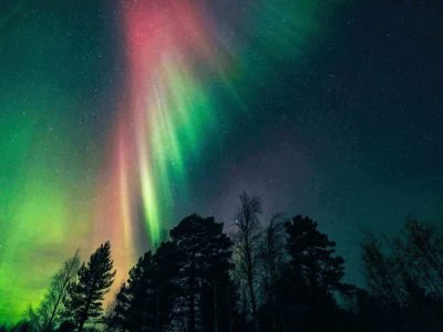 Aurora-Northern-Lights-Into-North (3)