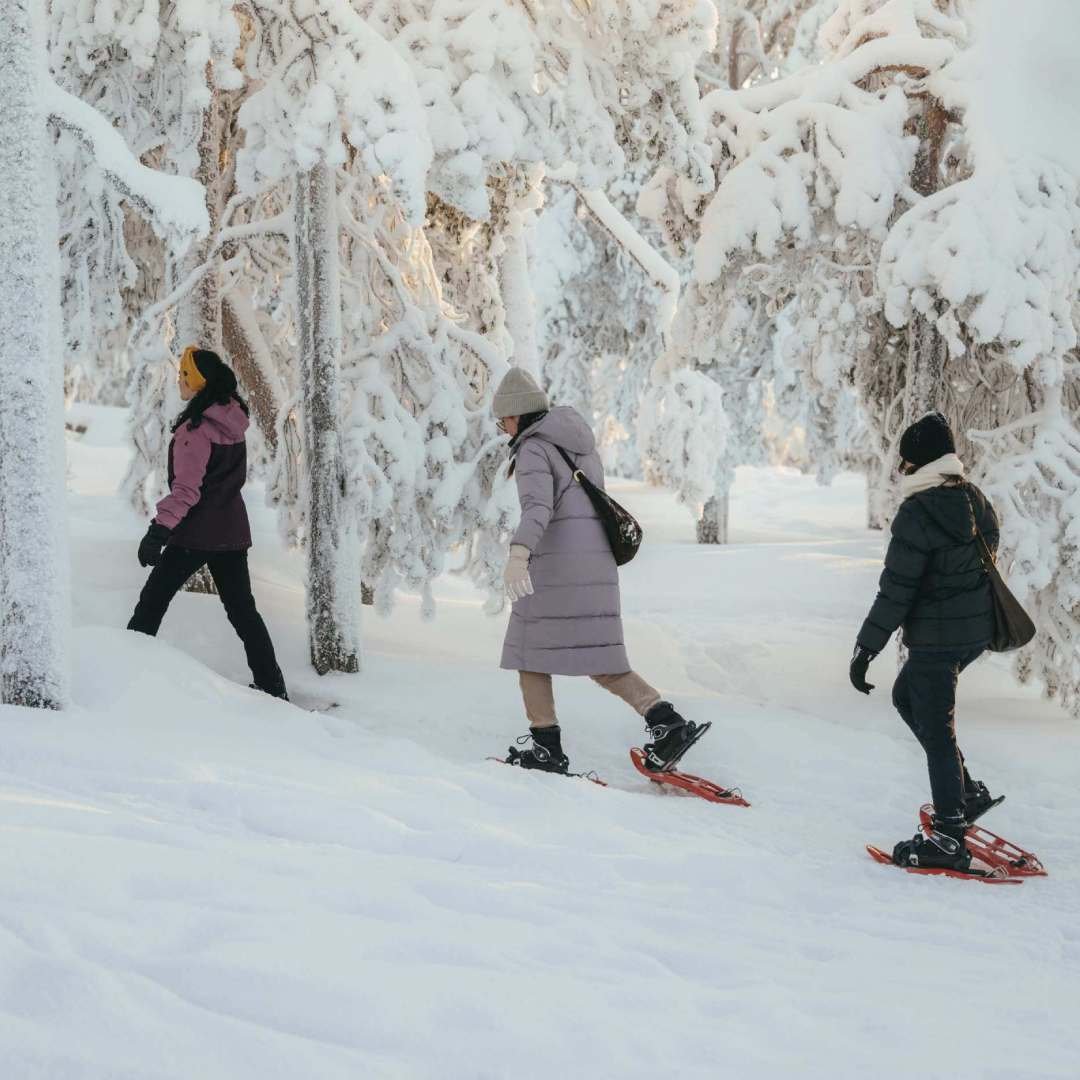 Snowshoeing-Adventure-Into-North-1080