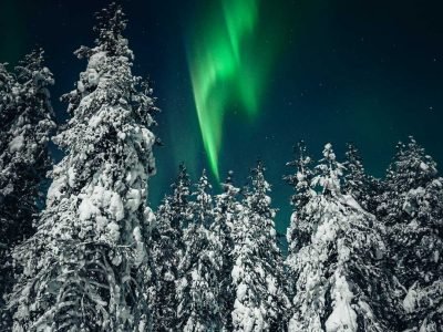 Northern-Lights-Hunting-Money-back-Into-North (1)